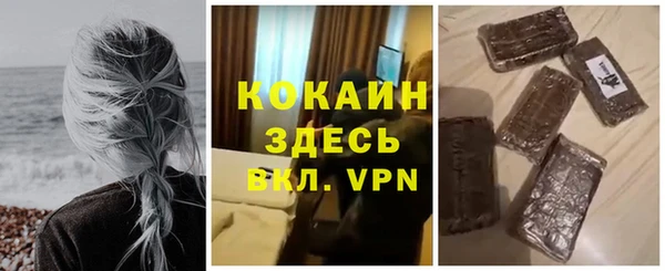 твердый Осинники