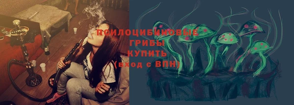 ECSTASY Богородицк