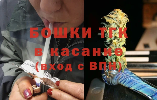 ECSTASY Богородицк