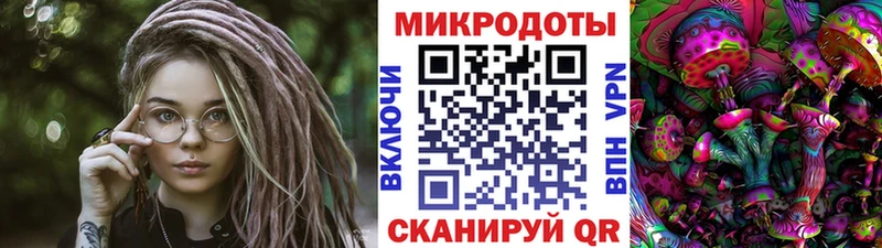 сколько стоит  Наволоки  Псилоцибиновые грибы MAGIC MUSHROOMS 